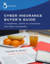 cyberguidecover.jpg